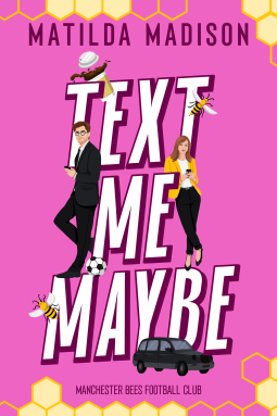 book cover for Text Me Maybe