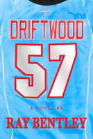 book cover for Driftwood