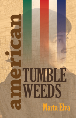 book cover for American Tumbleweeds