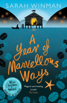 book cover for A Year of Marvellous Ways