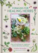 book cover for Foraging for Healing Herbs