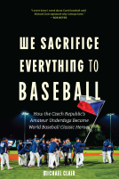 book cover for We Sacrifice Everything to Baseball
