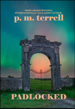 book cover for Padlocked