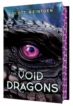 book cover for The Void Dragons