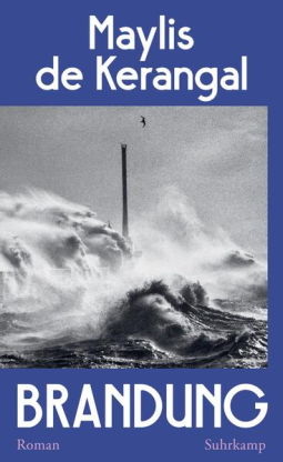 Buchcover für Brandung