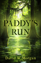 book cover for Paddy's Run