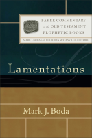 book cover for Lamentations