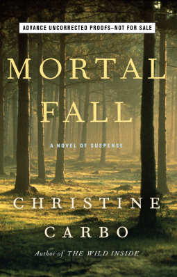 book cover for Mortal Fall