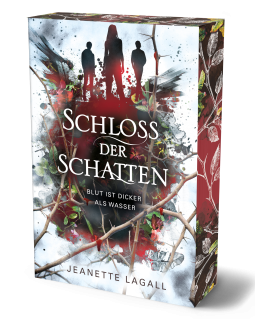 Buchcover für Blut ist dicker als Wasser - Schloss der Schatten 1