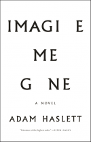 book cover for Imagine Me Gone