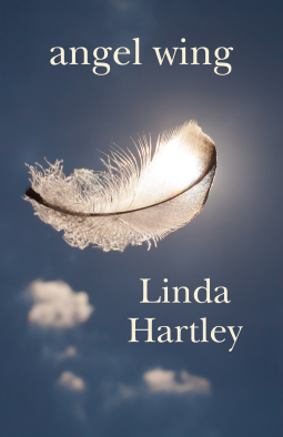 book cover for Angel Wing