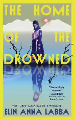 book cover for The Home of the Drowned