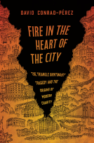 book cover for Fire in the Heart of the City