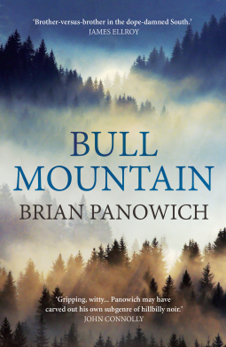 book cover for Bull Mountain