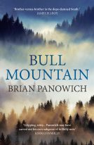 book cover for Bull Mountain