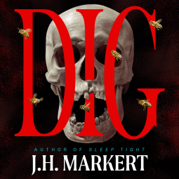book cover for Dig