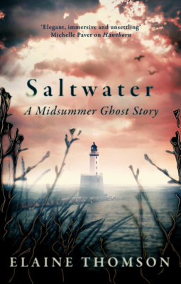book cover for Saltwater