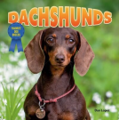 book cover for Dachshunds