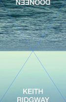 book cover for Dooneen