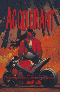 book cover for Accelerant