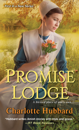 book cover for Promise Lodge