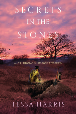 book cover for Secrets in the Stones