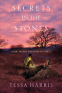 Cover Image: Secrets in the Stones