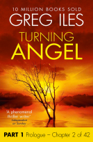 book cover for Turning Angel: Part 1, Prologue to Chapter 2 inclusive