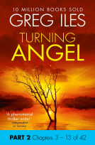 book cover for Turning Angel: Part 2, Chapters 3 to 13