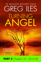 book cover for Turning Angel: Part 3, Chapters 14 to 24