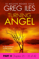 book cover for Turning Angel: Part 4, Chapters 25 to 33
