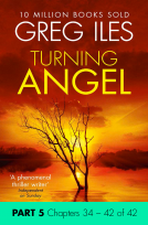book cover for Turning Angel: Part 5, Chapters 34 to 42