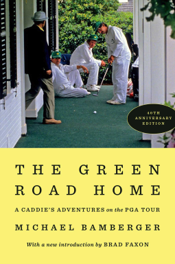 book cover for The Green Road Home