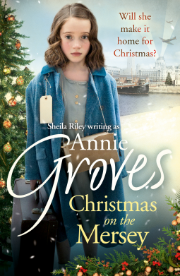book cover for Christmas on the Mersey