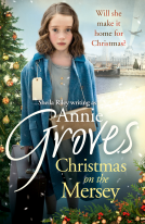 book cover for Christmas on the Mersey