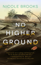 book cover for No Higher Ground