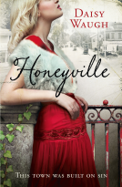 book cover for Honeyville