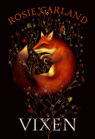 book cover for Vixen