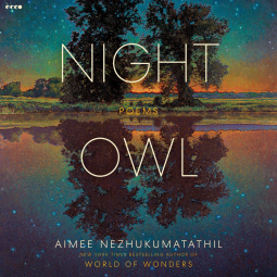book cover for Night Owl