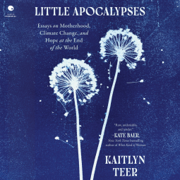 book cover for Little Apocalypses
