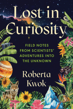 book cover for Lost in Curiosity