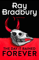 book cover for The Day it Rained Forever