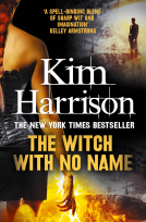 book cover for The Witch With No Name
