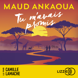 Couverture du livre pour Tu m'avais promis