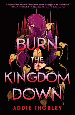 book cover for Burn the Kingdom Down
