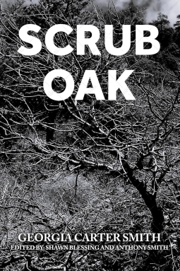 book cover for Scrub Oak