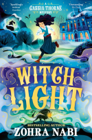 book cover for Witch Light