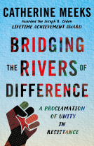 book cover for Bridging the Rivers of Difference