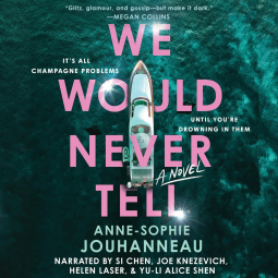 book cover for We Would Never Tell