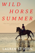 book cover for Wild Horse Summer